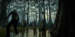 2. 沼地 / The Swamp